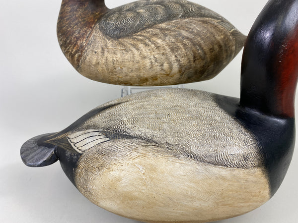 Torry Ward Canvasback Pair (#9096)