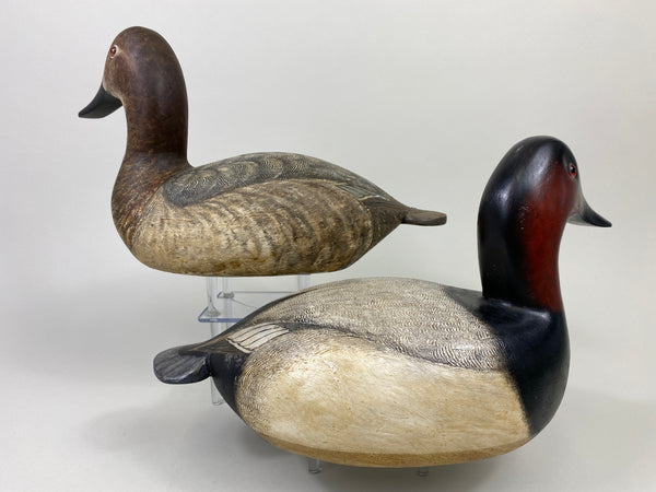 Torry Ward Canvasback Pair (#9096)