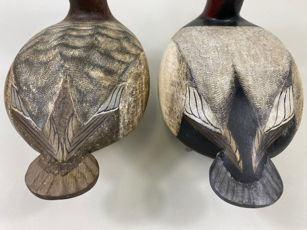 Torry Ward Canvasback Pair (#9096)
