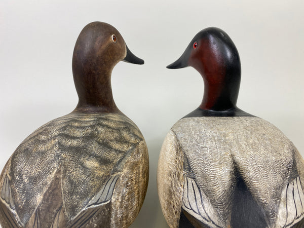 Torry Ward Canvasback Pair (#9096)