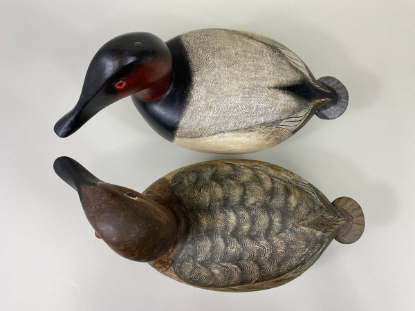 Torry Ward Canvasback Pair (#9096)