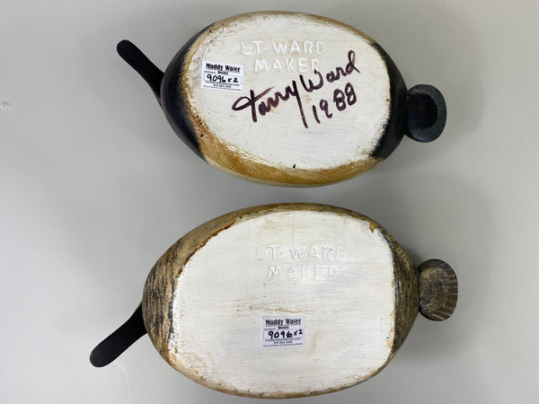 Torry Ward Canvasback Pair (#9096)