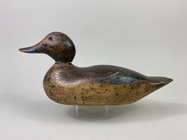 Mason Blue-Wing Teal Drake (#9099)