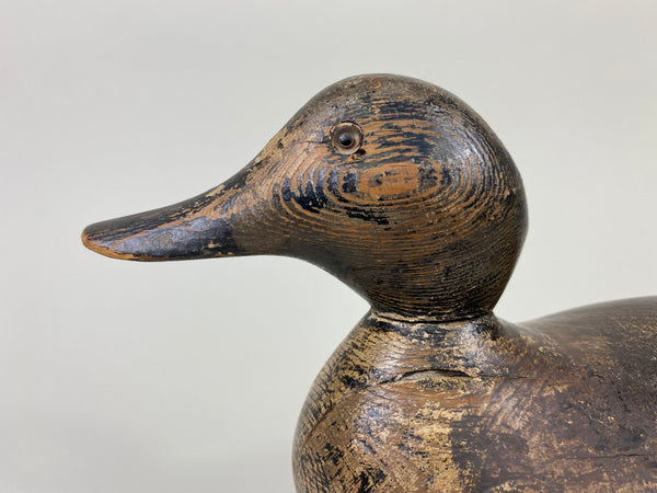 Mason Blue-Wing Teal Drake (#9099)