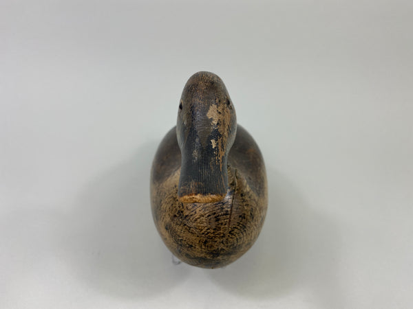 Mason Blue-Wing Teal Drake (#9099)