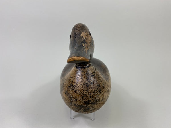 Mason Blue-Wing Teal Drake (#9099)