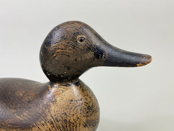 Mason Blue-Wing Teal Drake (#9099)