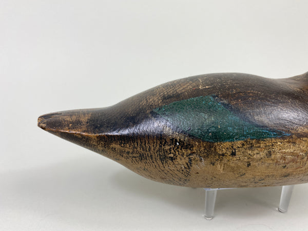 Mason Blue-Wing Teal Drake (#9099)