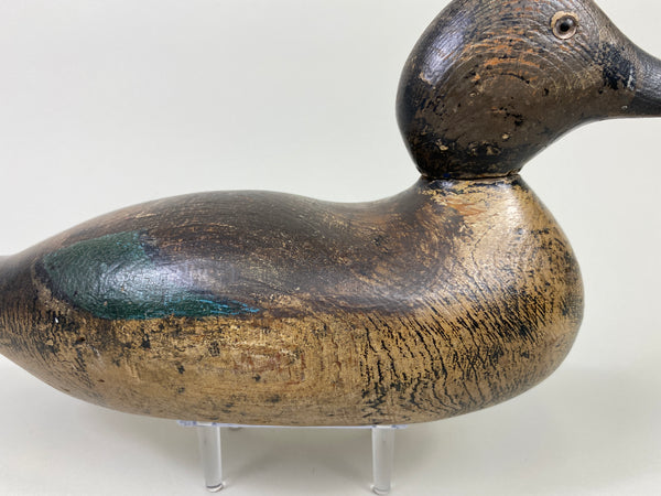 Mason Blue-Wing Teal Drake (#9099)