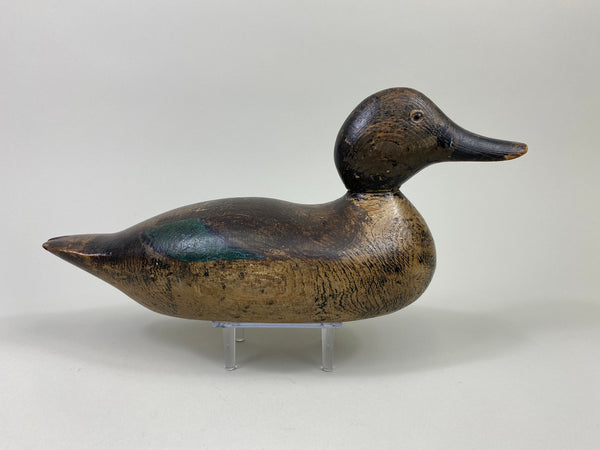 Mason Blue-Wing Teal Drake (#9099)