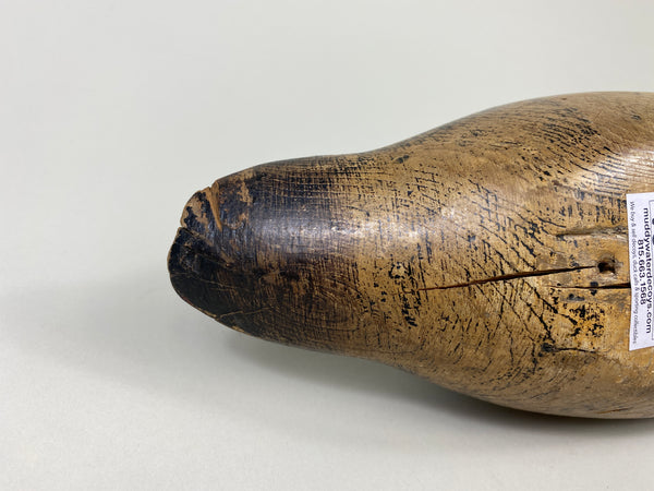 Mason Blue-Wing Teal Drake (#9099)