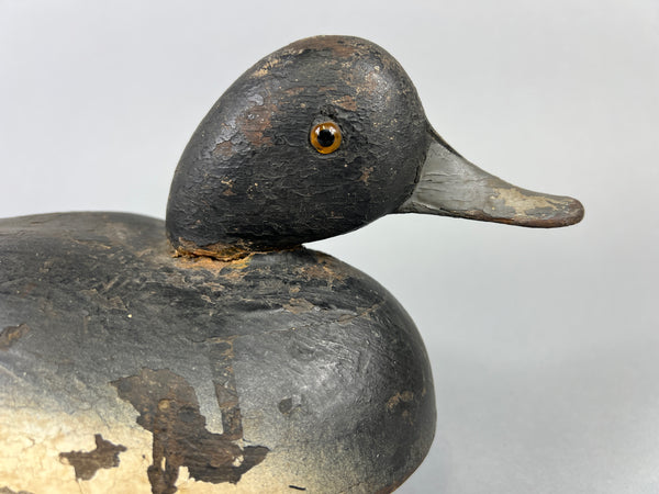 Quillen Style Bluebill (#3937)