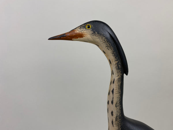 Great Blue Herron by Jim Slack (#9100)