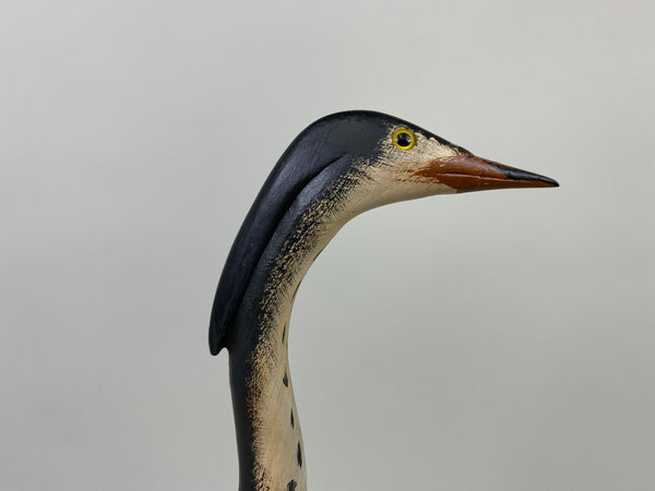 Great Blue Herron by Jim Slack (#9100)