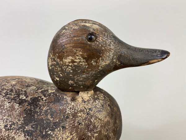 Mason Blue Winged Teal Drake (#9101)