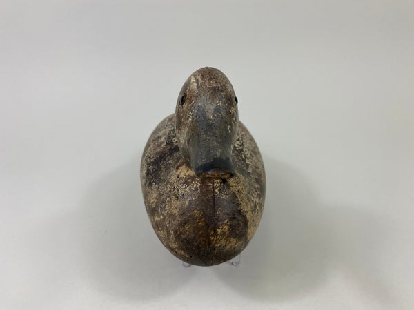 Mason Blue Winged Teal Drake (#9101)