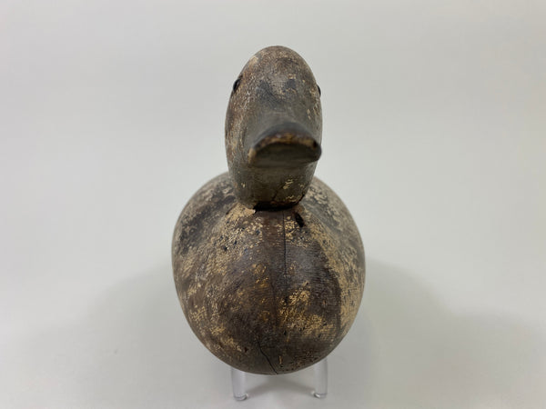 Mason Blue Winged Teal Drake (#9101)