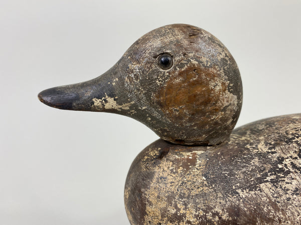 Mason Blue Winged Teal Drake (#9101)