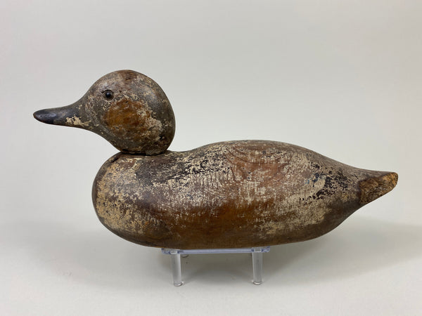 Mason Blue Winged Teal Drake (#9101)