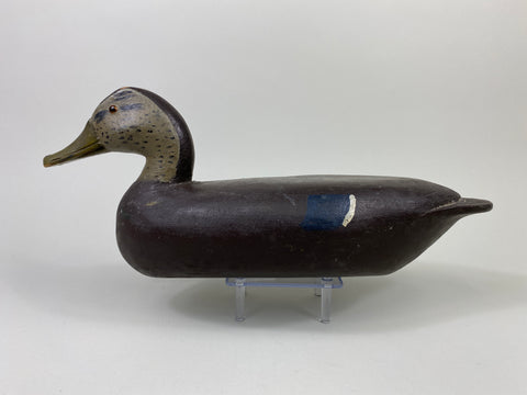 Rare George "Skippy" Barto Black Duck (#9107)