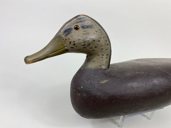 Rare George "Skippy" Barto Black Duck (#9107)
