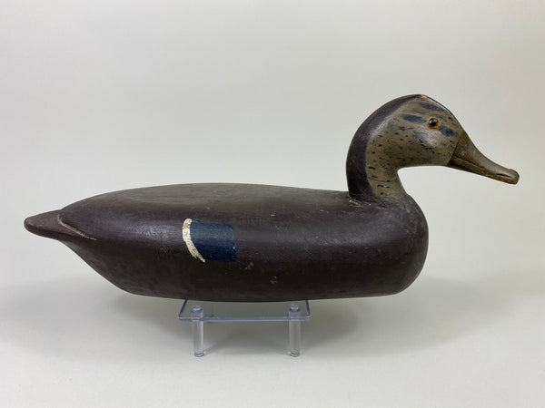 Rare George "Skippy" Barto Black Duck (#9107)