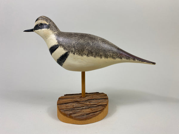John Hamilton Killdeer Shorebird (#9112)