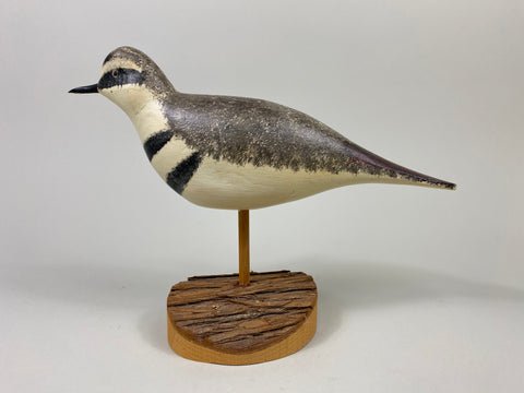 John Hamilton Killdeer Shorebird (#9112)