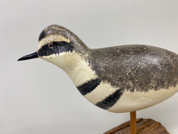 John Hamilton Killdeer Shorebird (#9112)