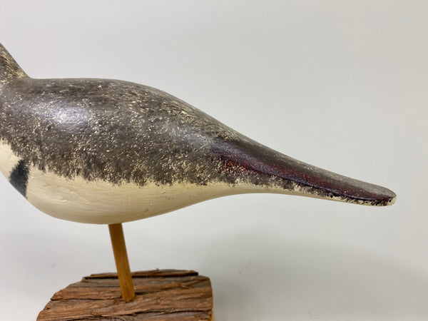 John Hamilton Killdeer Shorebird (#9112)