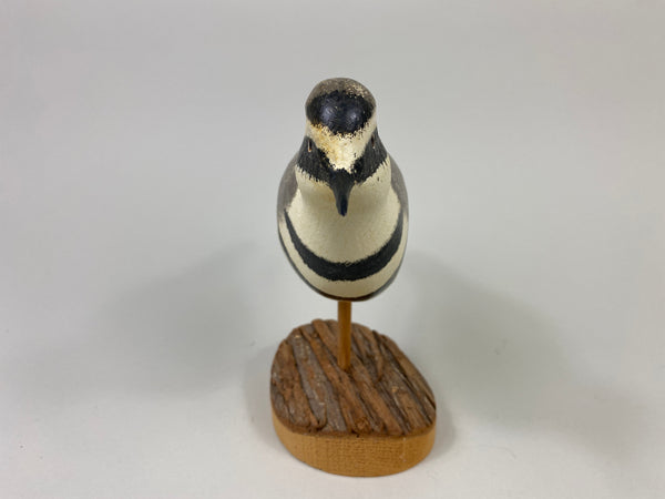 John Hamilton Killdeer Shorebird (#9112)