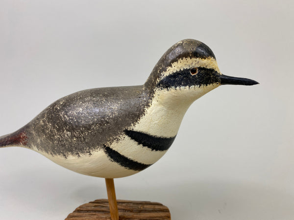 John Hamilton Killdeer Shorebird (#9112)