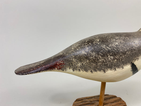 John Hamilton Killdeer Shorebird (#9112)