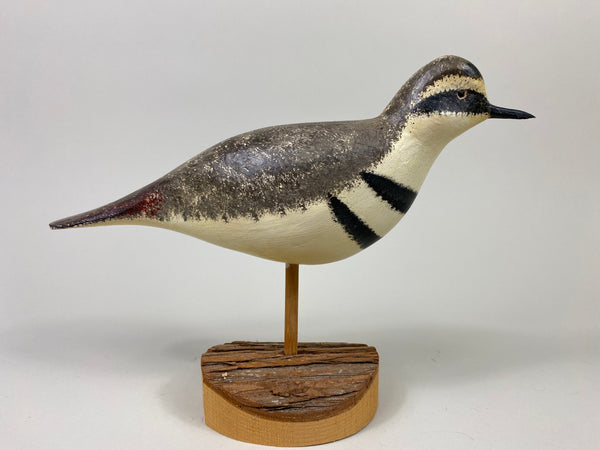 John Hamilton Killdeer Shorebird (#9112)