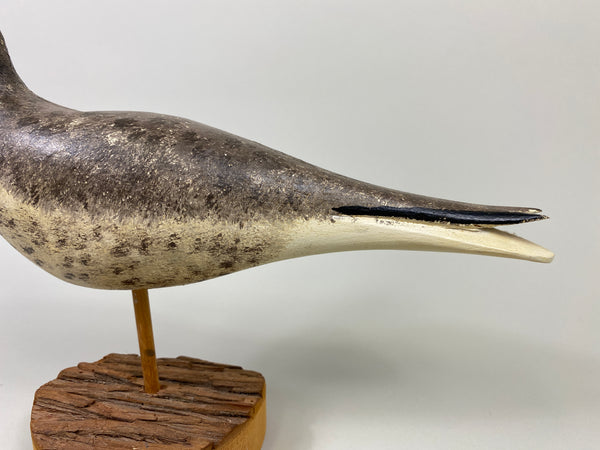 John Hamilton Curlew Shorebird (#9113)