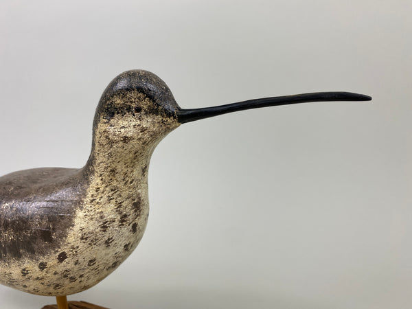 John Hamilton Curlew Shorebird (#9113)