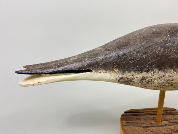 John Hamilton Curlew Shorebird (#9113)