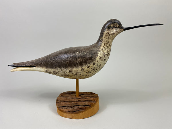 John Hamilton Curlew Shorebird (#9113)