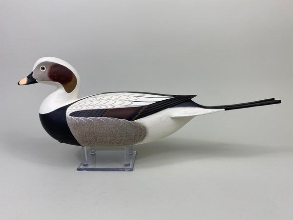 Frederick "Rick" Brown Long Tail Drake (#9114)