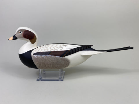 Frederick "Rick" Brown Long Tail Drake (#9114)