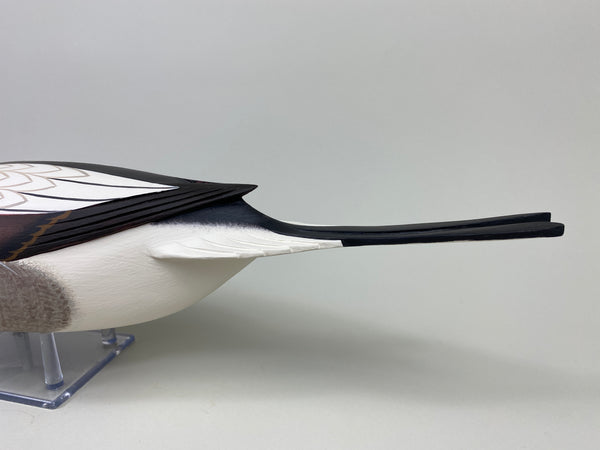 Frederick "Rick" Brown Long Tail Drake (#9114)