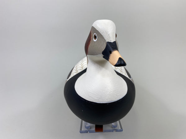 Frederick "Rick" Brown Long Tail Drake (#9114)