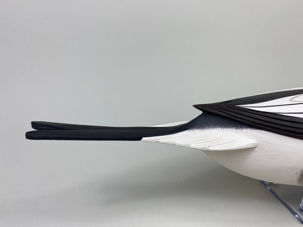 Frederick "Rick" Brown Long Tail Drake (#9114)