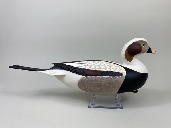 Frederick "Rick" Brown Long Tail Drake (#9114)