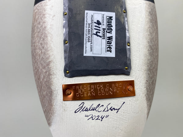 Frederick "Rick" Brown Long Tail Drake (#9114)