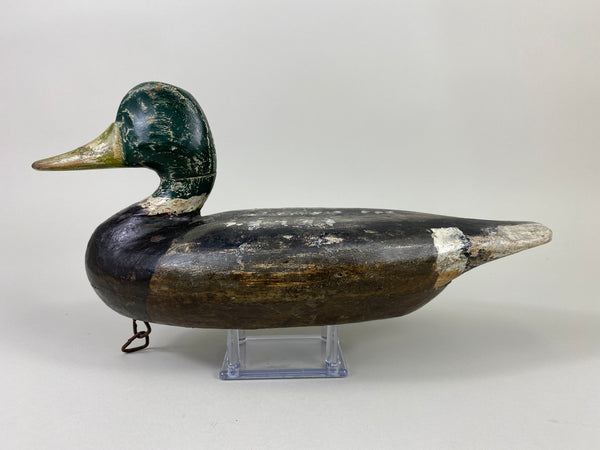 Perry Wilcoxen Mallard Drake (#9132)