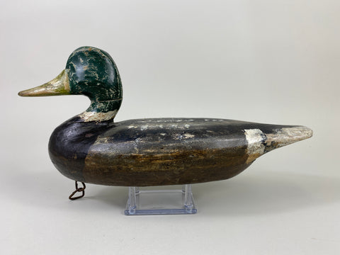 Perry Wilcoxen Mallard Drake (#9132)