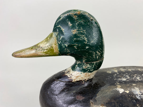 Perry Wilcoxen Mallard Drake (#9132)