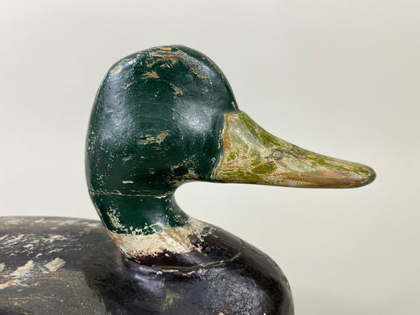 Perry Wilcoxen Mallard Drake (#9132)