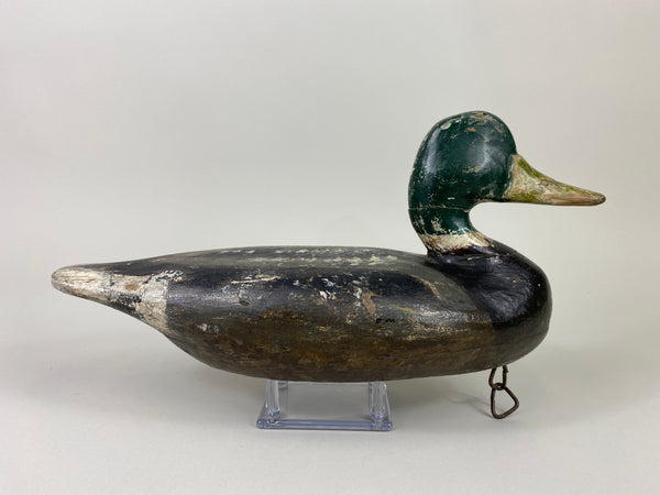 Perry Wilcoxen Mallard Drake (#9132)